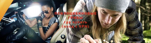 ALPHA PVP Горнозаводск