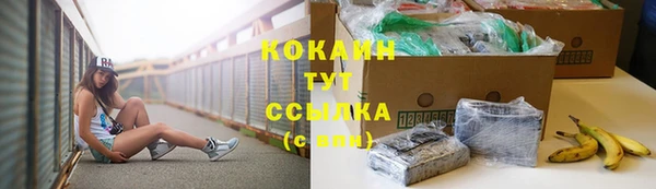 МДПВ Горняк
