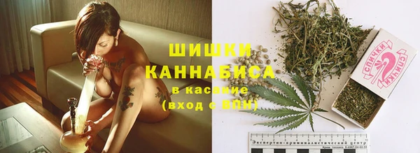 МДПВ Горняк