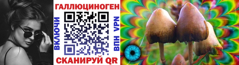 где найти   hydra зеркало  Псилоцибиновые грибы мицелий  Нея 